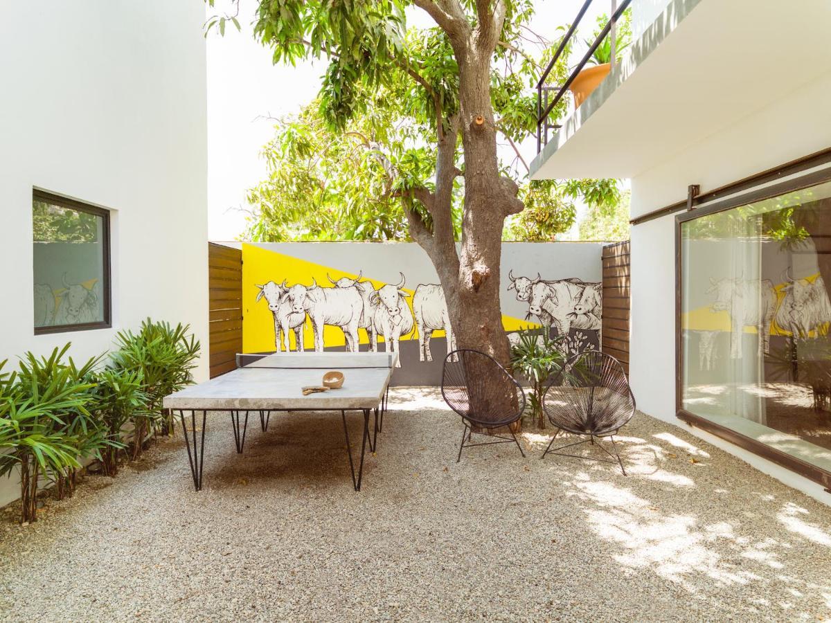 Drift San Jose Del Cabo, A Member Of Design Hotels ภายนอก รูปภาพ