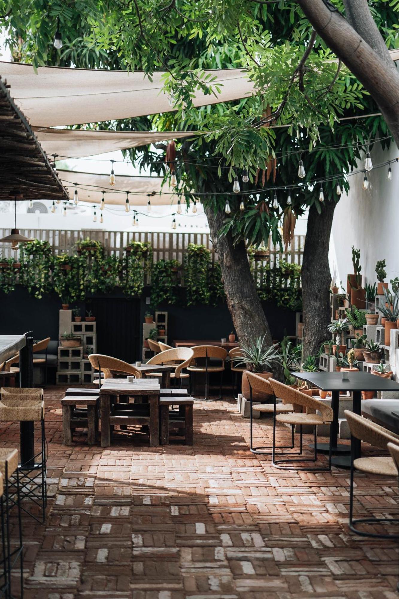 Drift San Jose Del Cabo, A Member Of Design Hotels ภายนอก รูปภาพ